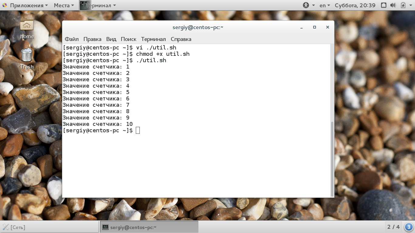 Примеры циклов for и while в bash-скрипте с кодом